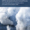 STF e as Mudanças Climáticas: contribuições para o debate sobre o Fundo Clima (ADPF 708)